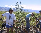 Colorado College Volunteers planting trees at reservoir - Teresa Seitz