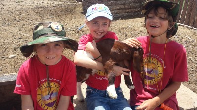 Happy Kids with Goats